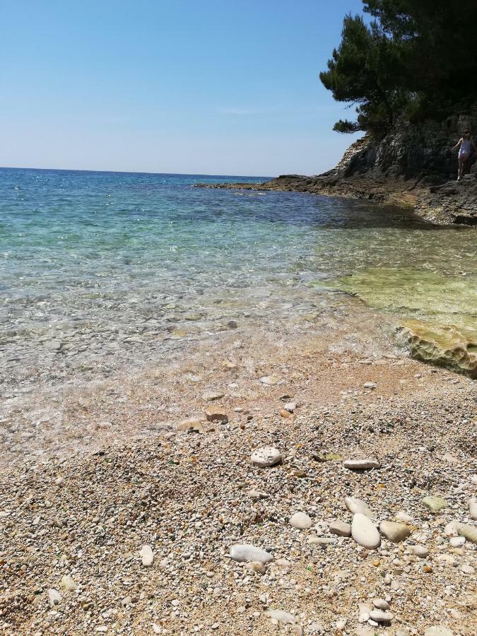 Apartment Maestral Πούλα Εξωτερικό φωτογραφία