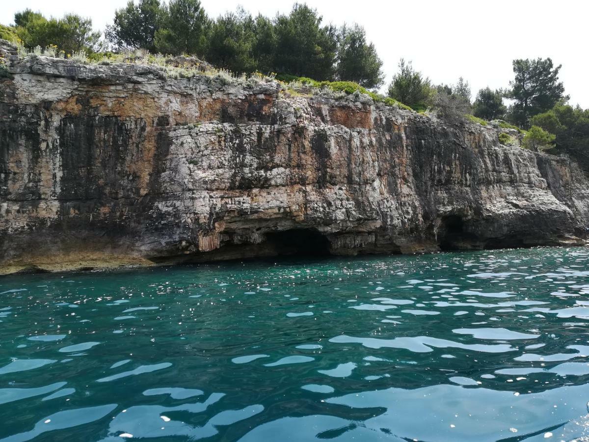 Apartment Maestral Πούλα Εξωτερικό φωτογραφία